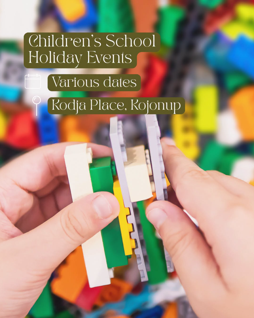 Childrens School Holiday Lego